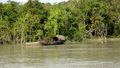 sundarban tour packages