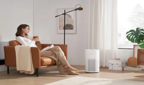 whole house air purification