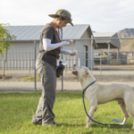 dog training techniques Arizona
