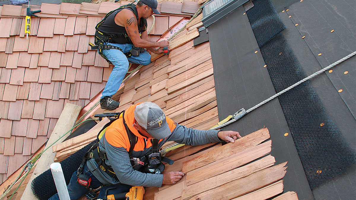 shingle roofing